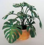 5002 Delicious monster Laser cut leaves 1_12