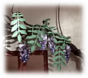 5015-Leaves-Wisteria