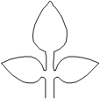 5003 Rose Pinnate laser cut leaves 1:12
