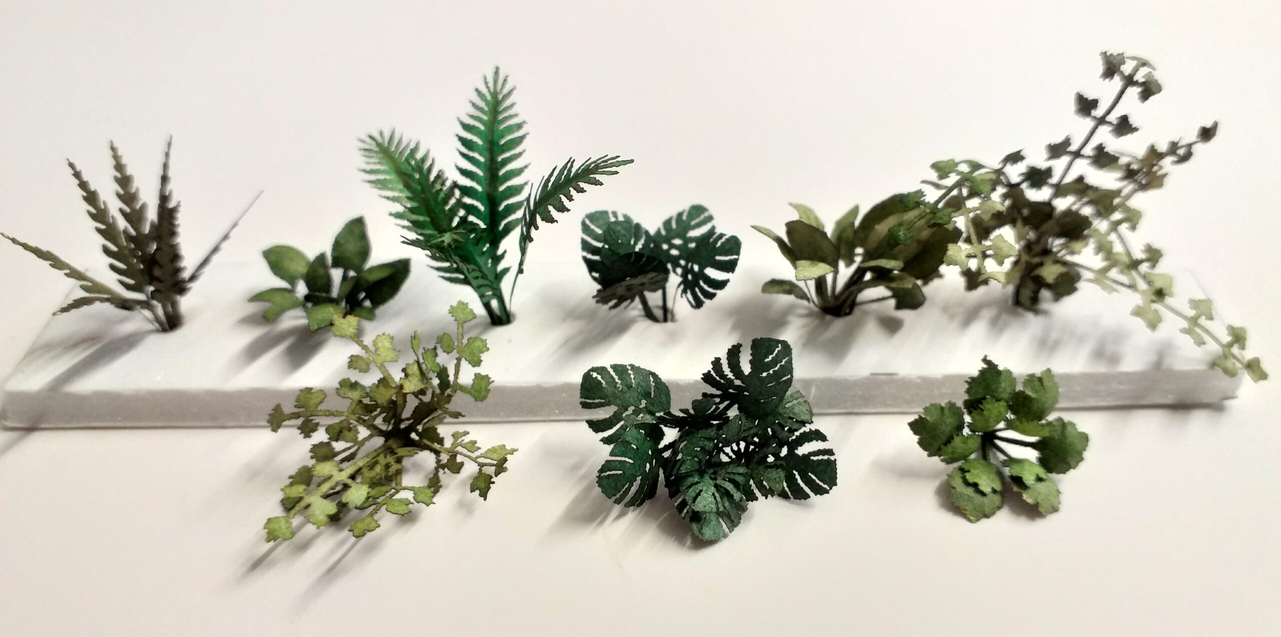 3093 Plants and leaves 1:48