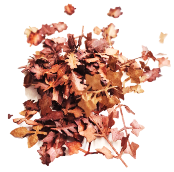 5022 Leaves autumn 1:12
